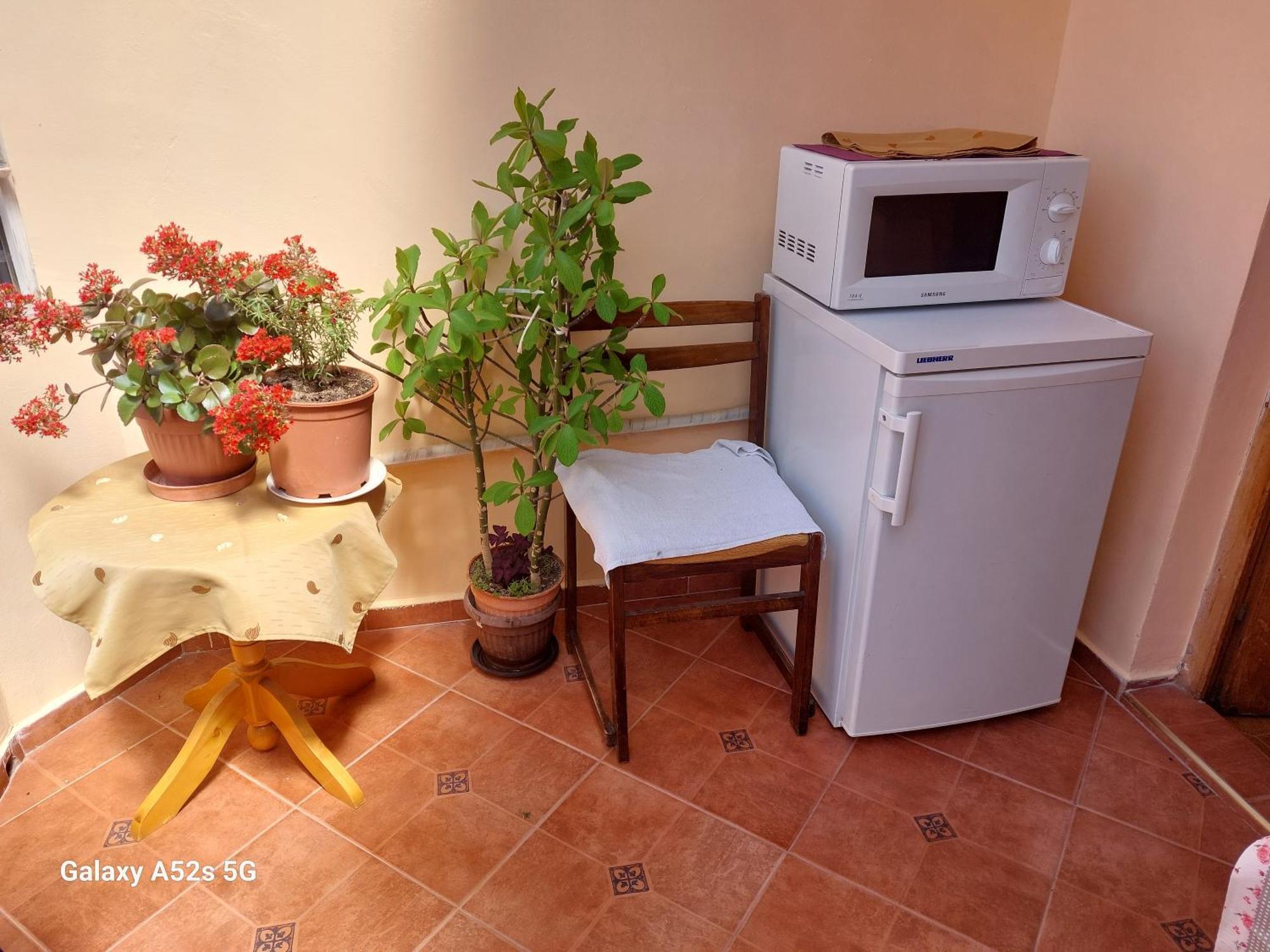 Homestay Kostadinov 帕莫瑞 外观 照片